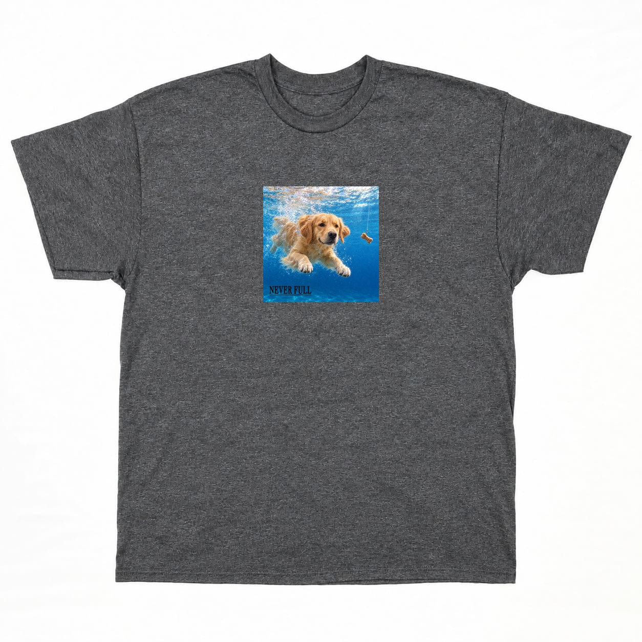 NEVER FULL Tシャツの正面イメージ(グレー)